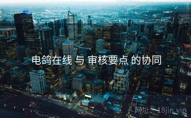 电鸽在线 与 审核要点 的协同