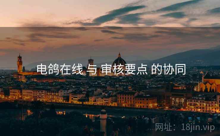 电鸽在线 与 审核要点 的协同