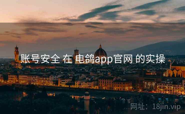 账号安全 在 电鸽app官网 的实操