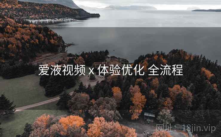 爱液视频 x 体验优化 全流程