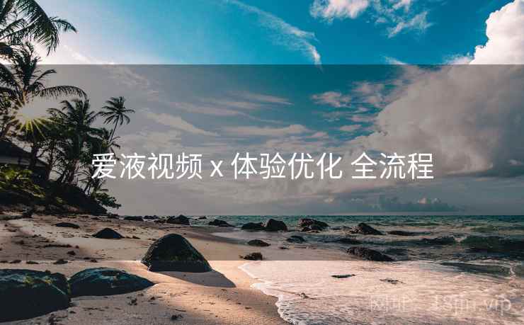 爱液视频 x 体验优化 全流程