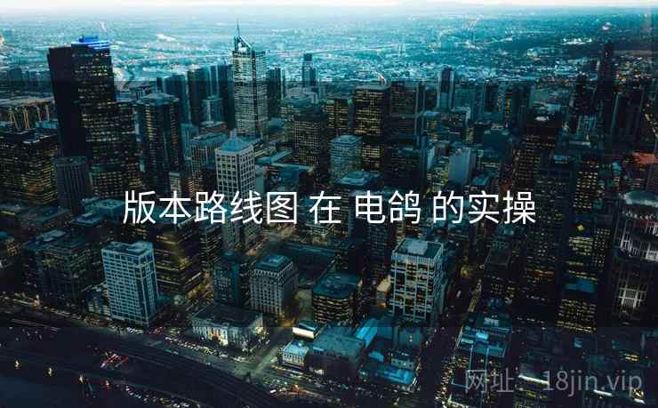 版本路线图 在 电鸽 的实操