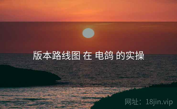 版本路线图 在 电鸽 的实操