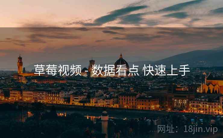 草莓视频 - 数据看点 快速上手