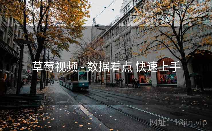 草莓视频 - 数据看点 快速上手