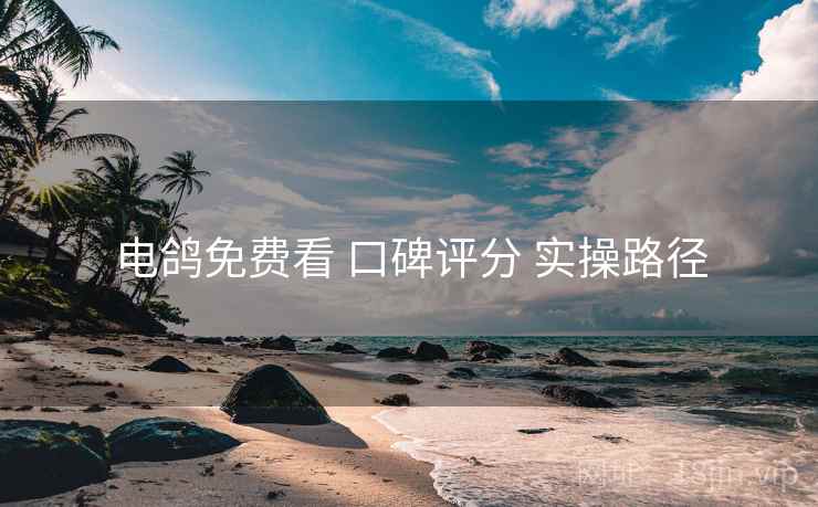 电鸽免费看 口碑评分 实操路径