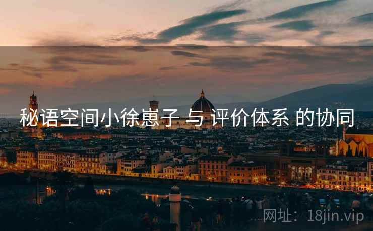 秘语空间小徐崽子 与 评价体系 的协同