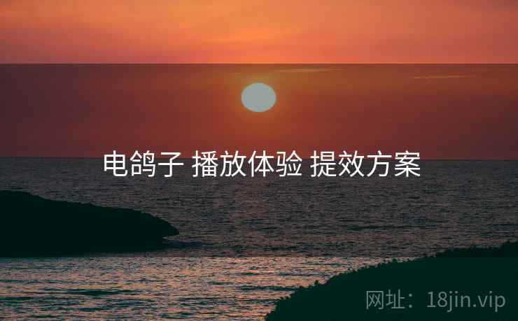 电鸽子 播放体验 提效方案