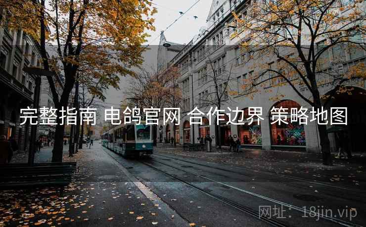 完整指南 电鸽官网 合作边界 策略地图