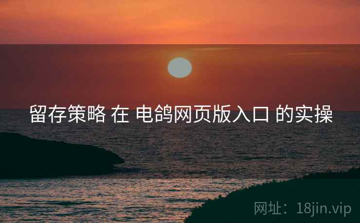 留存策略 在 电鸽网页版入口 的实操