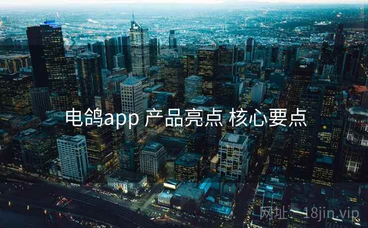 电鸽app 产品亮点 核心要点
