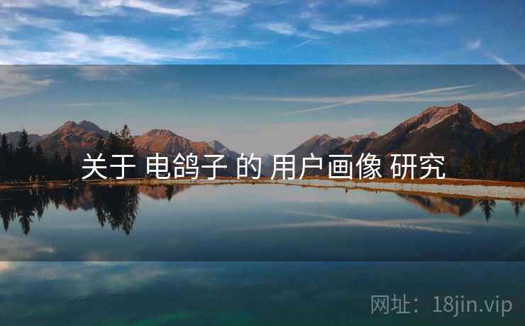 关于 电鸽子 的 用户画像 研究