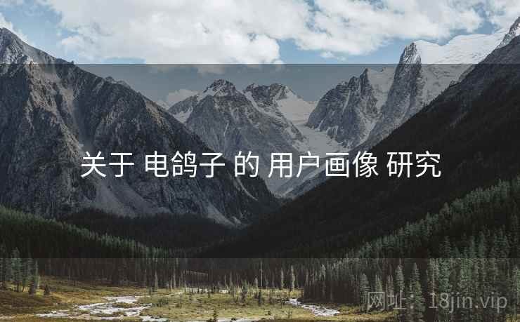关于 电鸽子 的 用户画像 研究