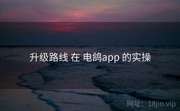 升级路线 在 电鸽app 的实操