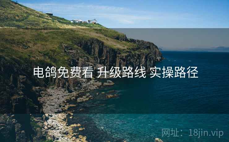 电鸽免费看 升级路线 实操路径