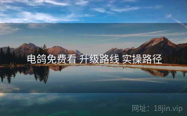 电鸽免费看 升级路线 实操路径
