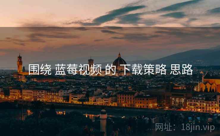 围绕 蓝莓视频 的 下载策略 思路