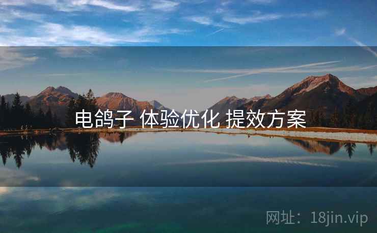 电鸽子 体验优化 提效方案