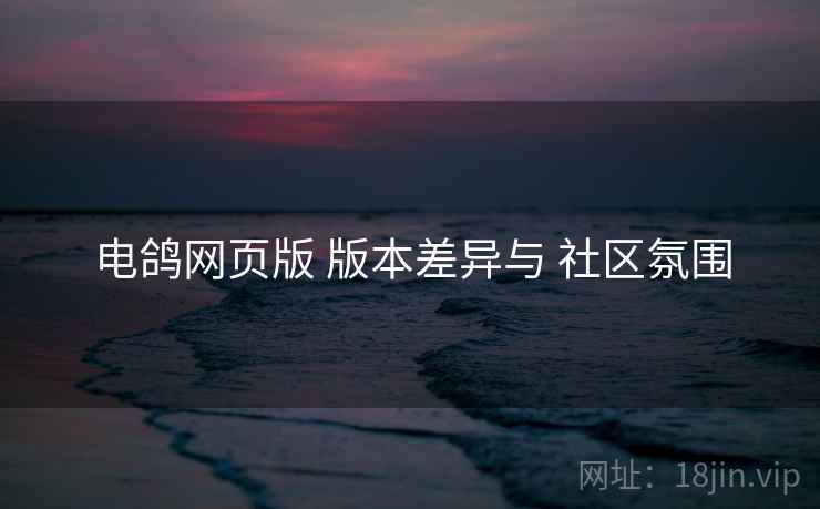 电鸽网页版 版本差异与 社区氛围