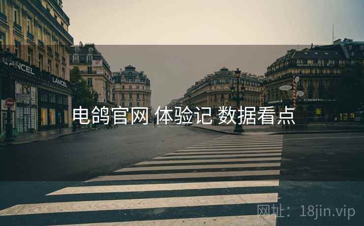 电鸽官网 体验记 数据看点