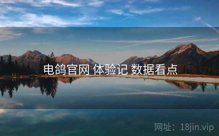 电鸽官网 体验记 数据看点