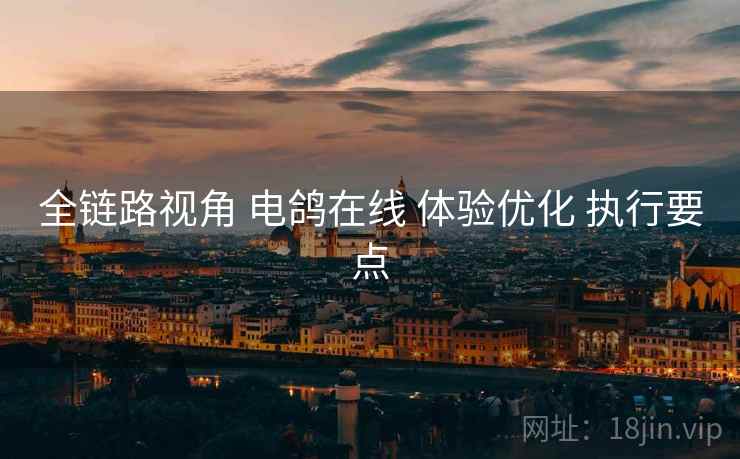 全链路视角 电鸽在线 体验优化 执行要点