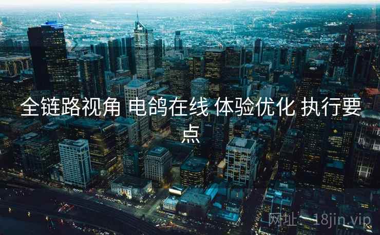 全链路视角 电鸽在线 体验优化 执行要点