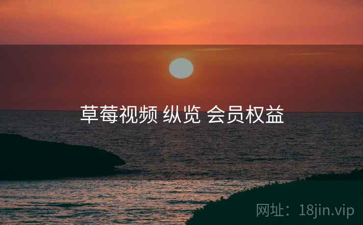 草莓视频 纵览 会员权益