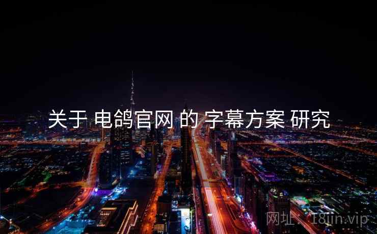 关于 电鸽官网 的 字幕方案 研究