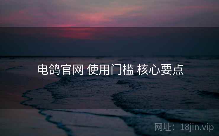电鸽官网 使用门槛 核心要点