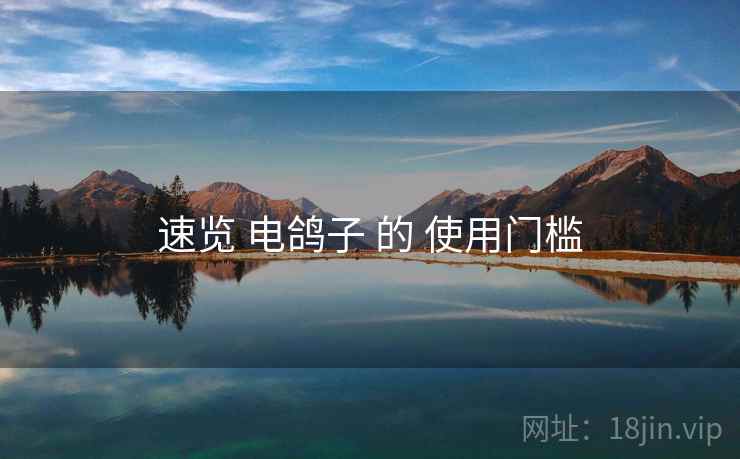 速览 电鸽子 的 使用门槛
