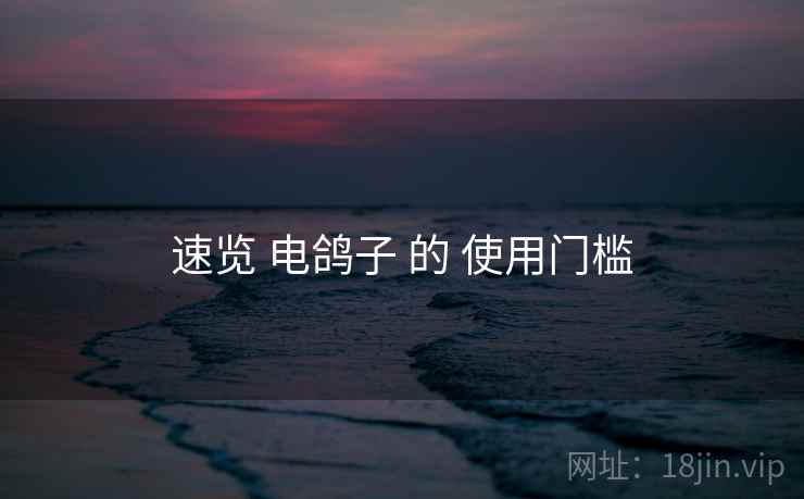 速览 电鸽子 的 使用门槛