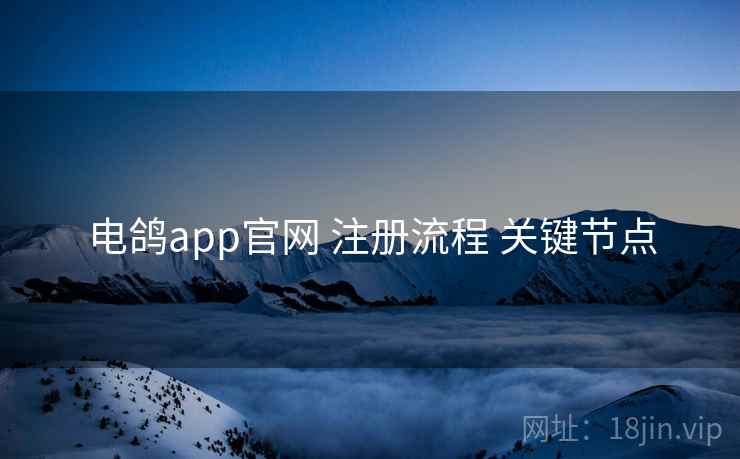 电鸽app官网 注册流程 关键节点