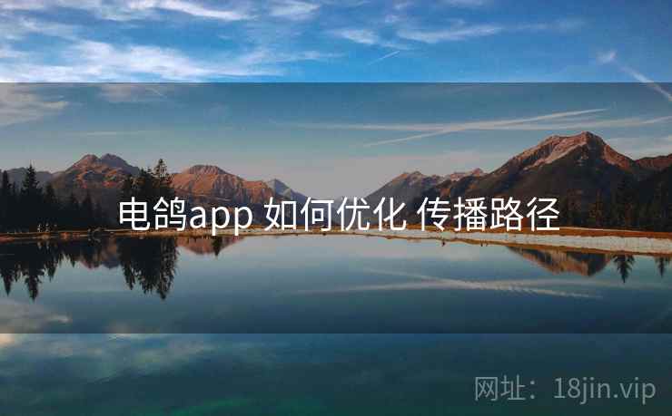 电鸽app 如何优化 传播路径