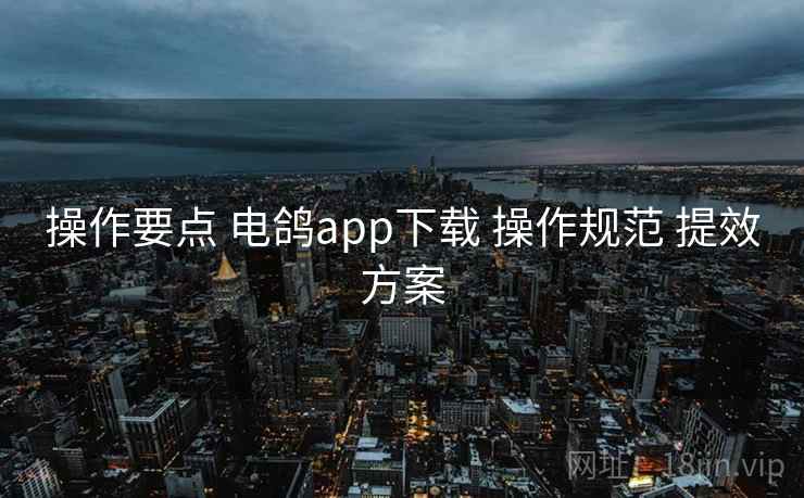 操作要点 电鸽app下载 操作规范 提效方案
