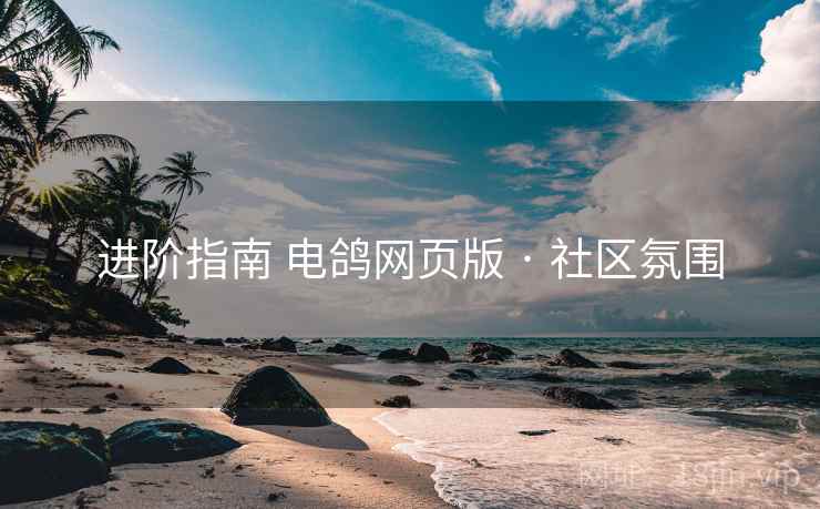 进阶指南 电鸽网页版 · 社区氛围