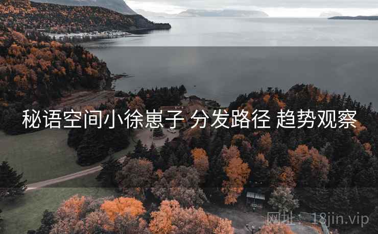 秘语空间小徐崽子 分发路径 趋势观察