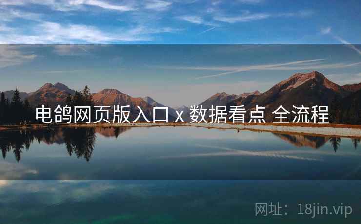 电鸽网页版入口 x 数据看点 全流程