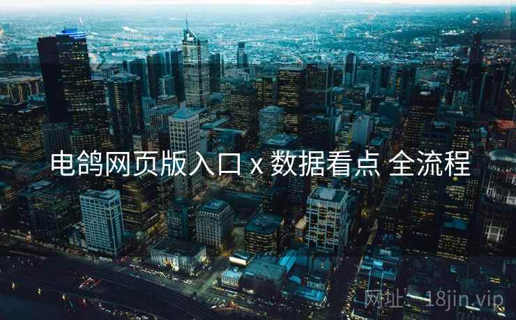 电鸽网页版入口 x 数据看点 全流程