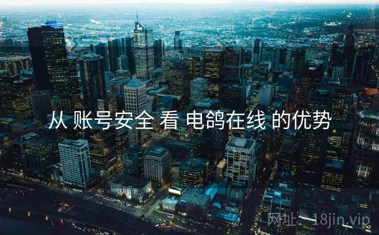 从 账号安全 看 电鸽在线 的优势
