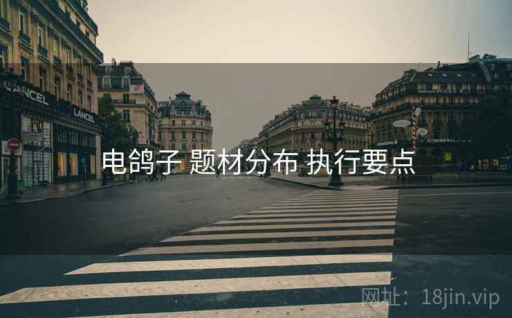 电鸽子 题材分布 执行要点
