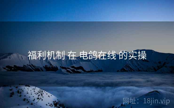 福利机制 在 电鸽在线 的实操