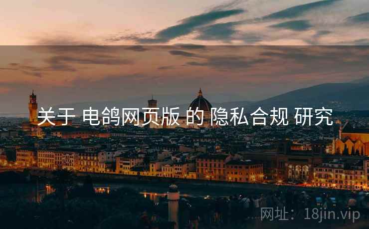 关于 电鸽网页版 的 隐私合规 研究