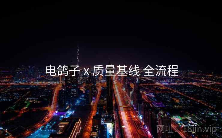 电鸽子 x 质量基线 全流程