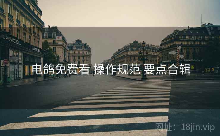 电鸽免费看 操作规范 要点合辑