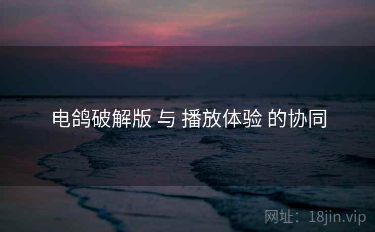 电鸽破解版 与 播放体验 的协同