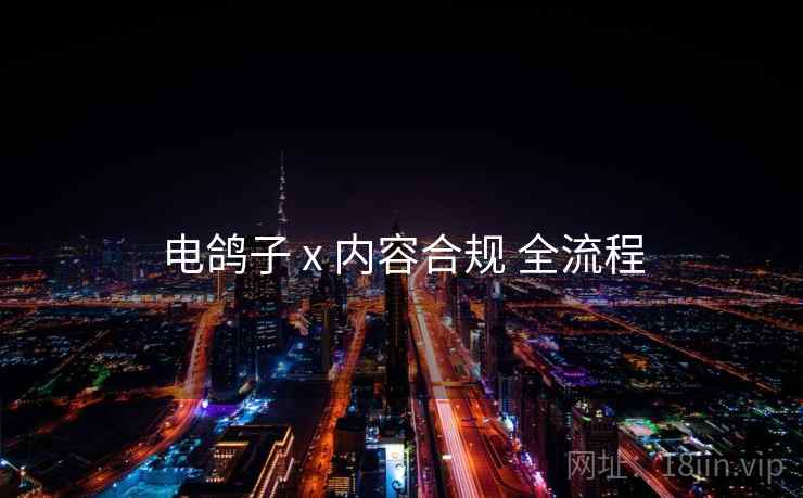 电鸽子 x 内容合规 全流程